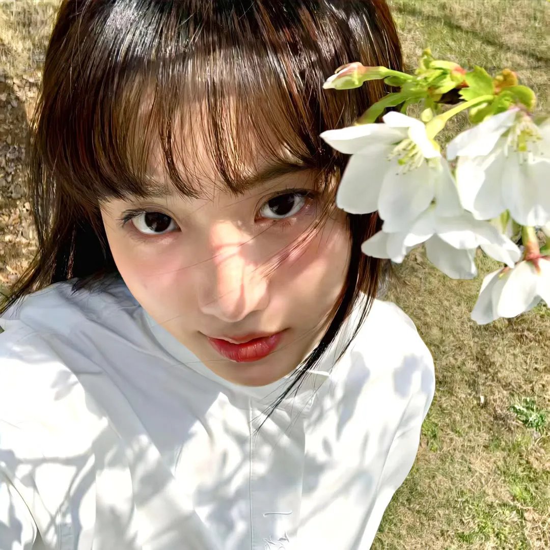 爱上查美乐