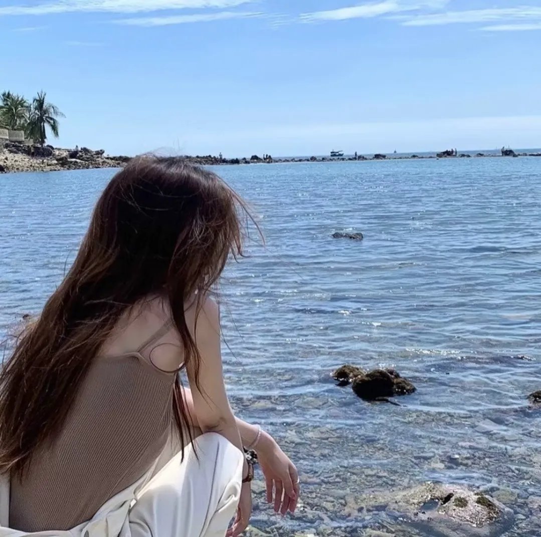 凤舞龙翔