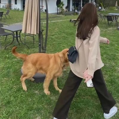 魔力女管家特别篇